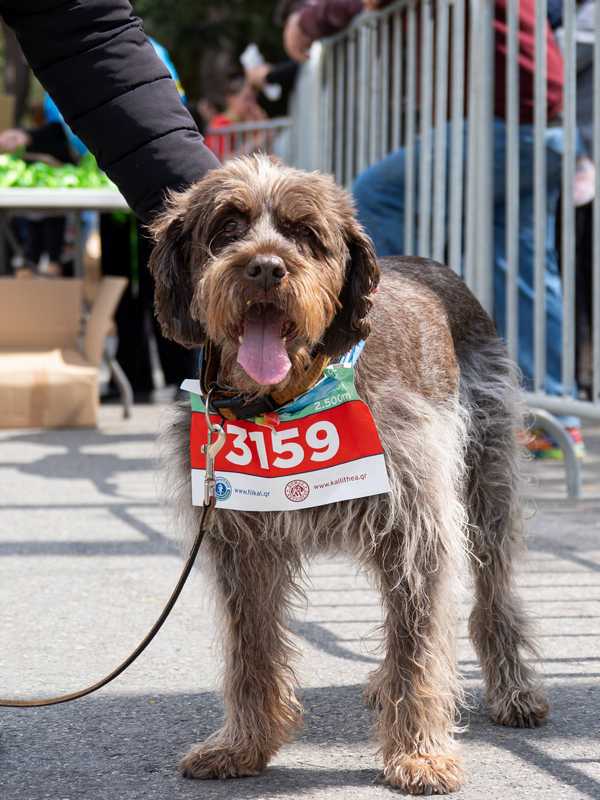 2026_KalRun_Michalis_Ntallas_part.3 (125).jpg